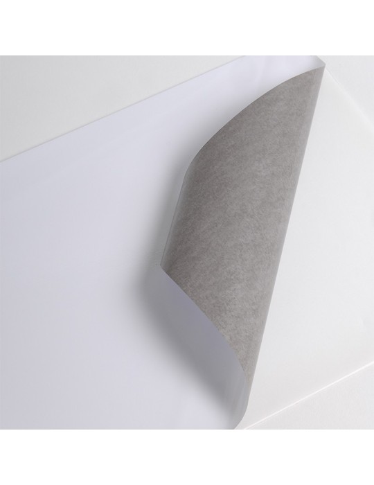 HX500WG2 - Blanc Brillant adh permanent gris